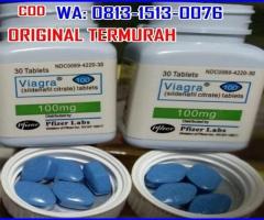 (ORIGINAL) WA.081315130076 JUAL VIAGRA DI NEGLASARI TANGERANG